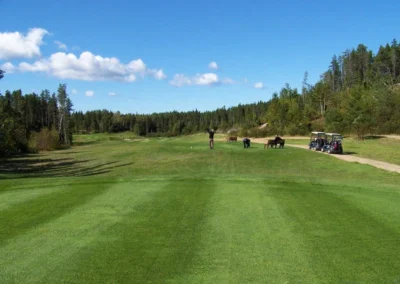 golf le meandre forestville qc nous joindre 4