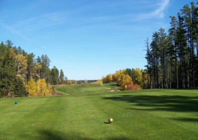 golf le meandre forestville qc nous joindre 6